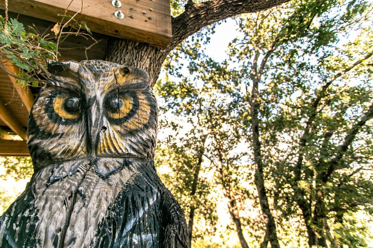 B & B Le Casette Sull'Albero Di Villa Alba Messina Buitenkant foto