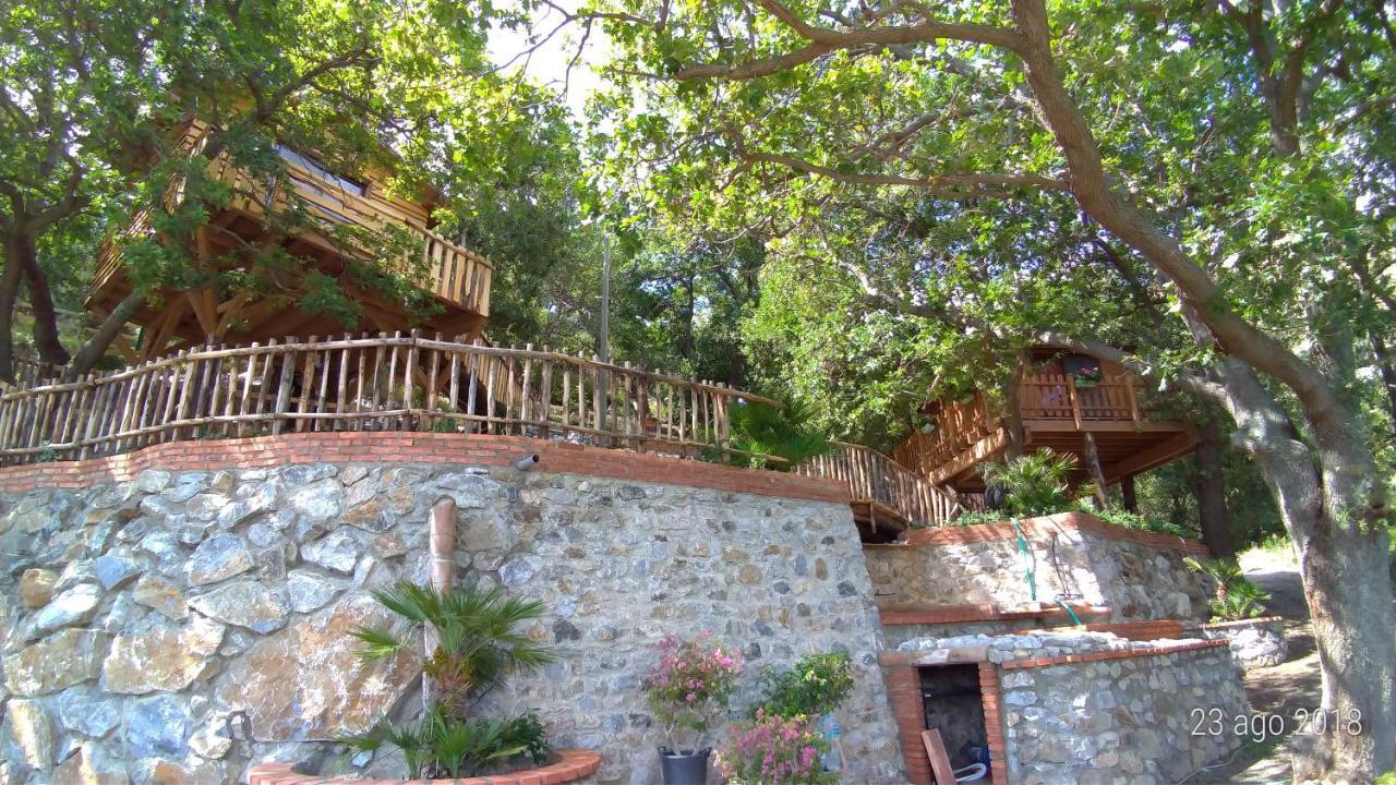 B & B Le Casette Sull'Albero Di Villa Alba Messina Buitenkant foto