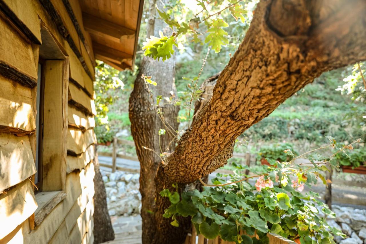 B & B Le Casette Sull'Albero Di Villa Alba Messina Buitenkant foto