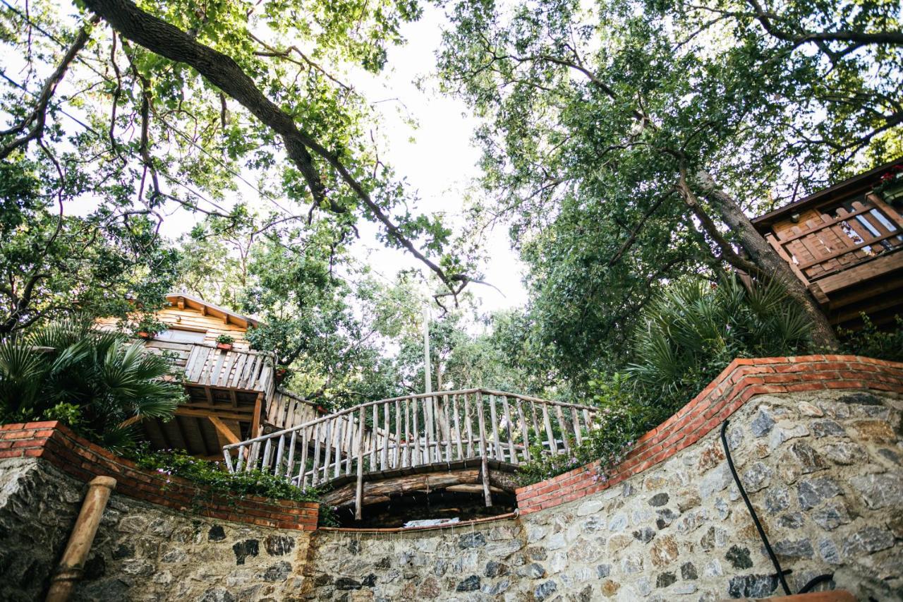 B & B Le Casette Sull'Albero Di Villa Alba Messina Buitenkant foto