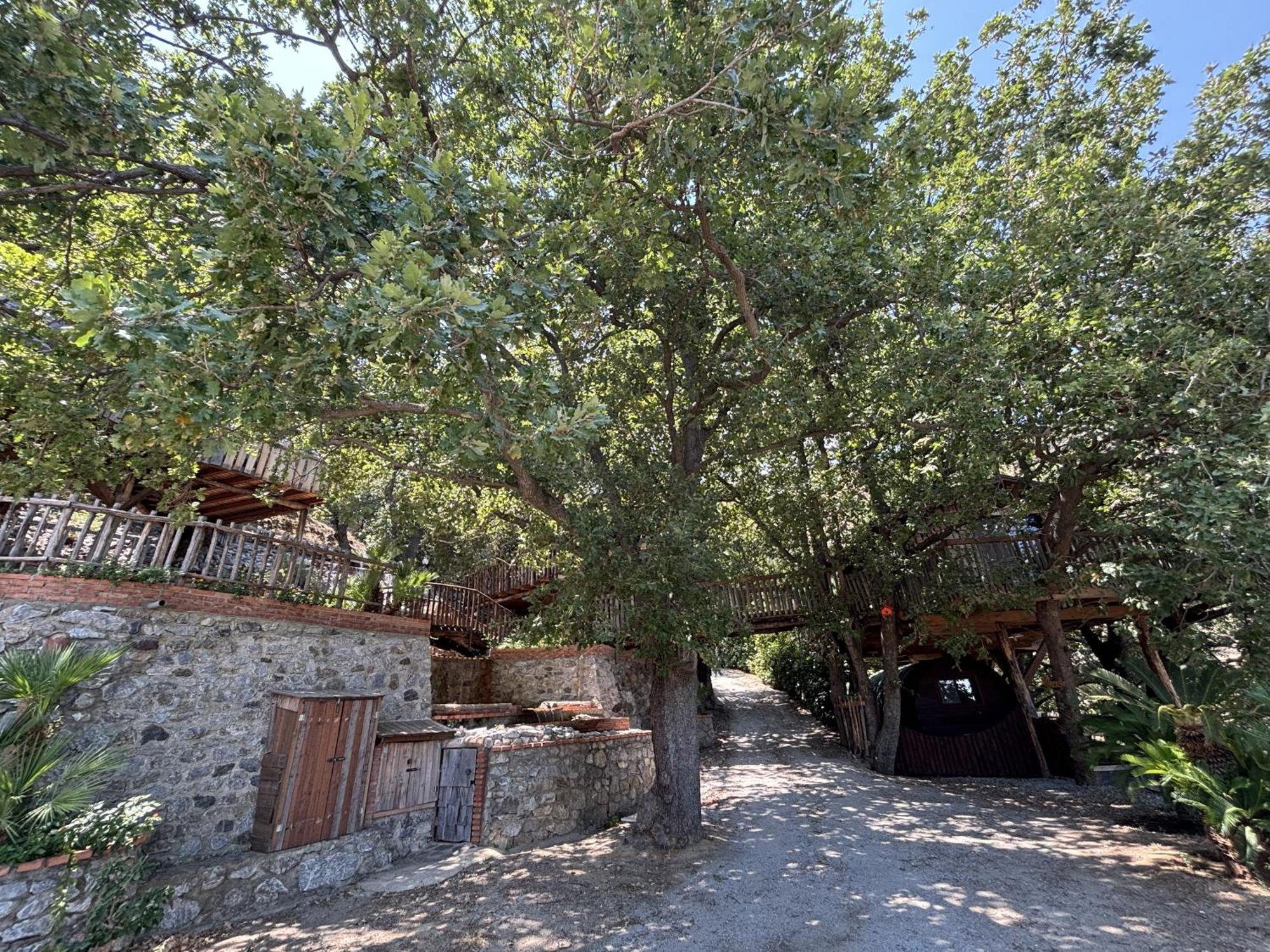 B & B Le Casette Sull'Albero Di Villa Alba Messina Buitenkant foto