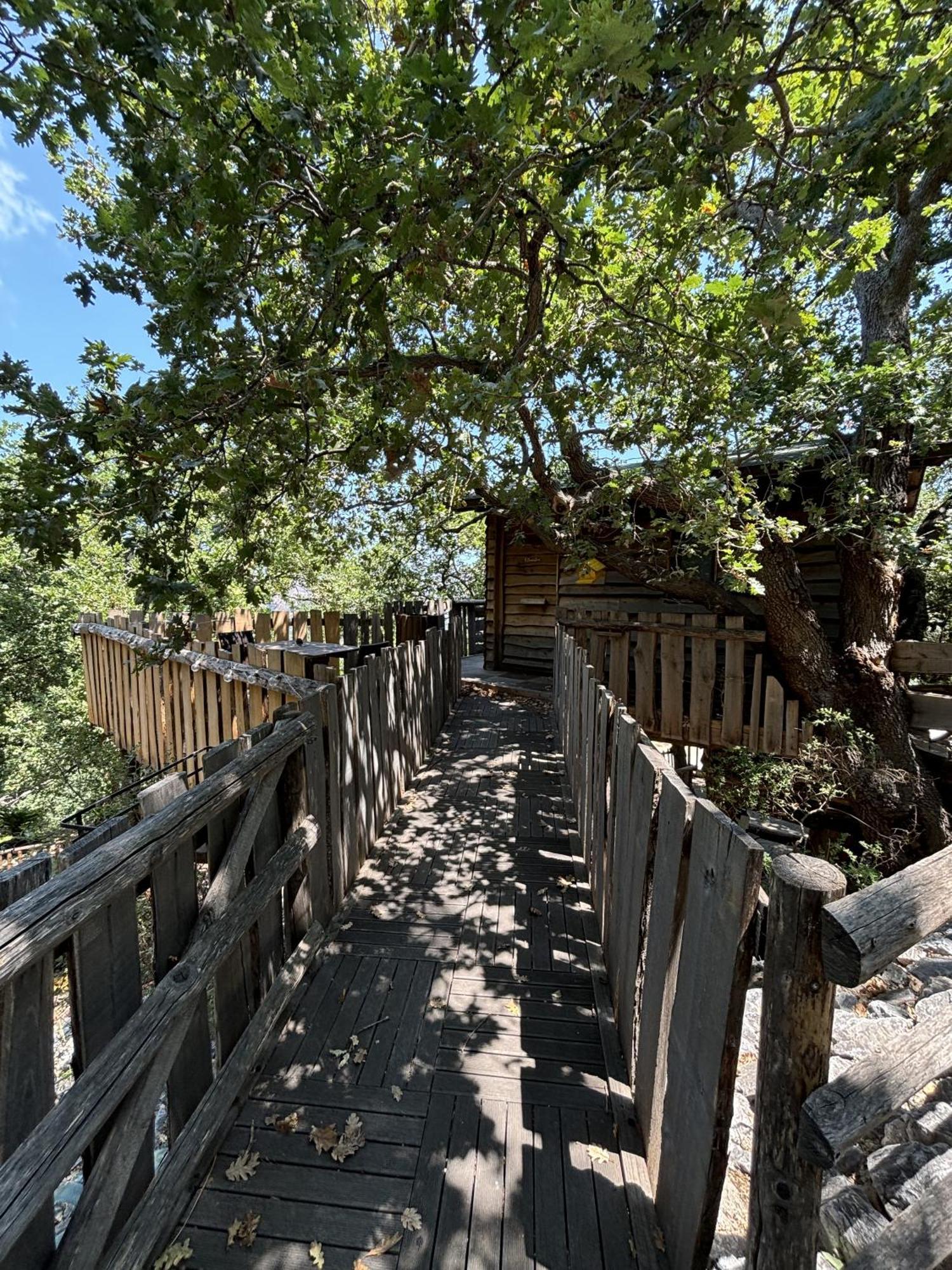 B & B Le Casette Sull'Albero Di Villa Alba Messina Buitenkant foto